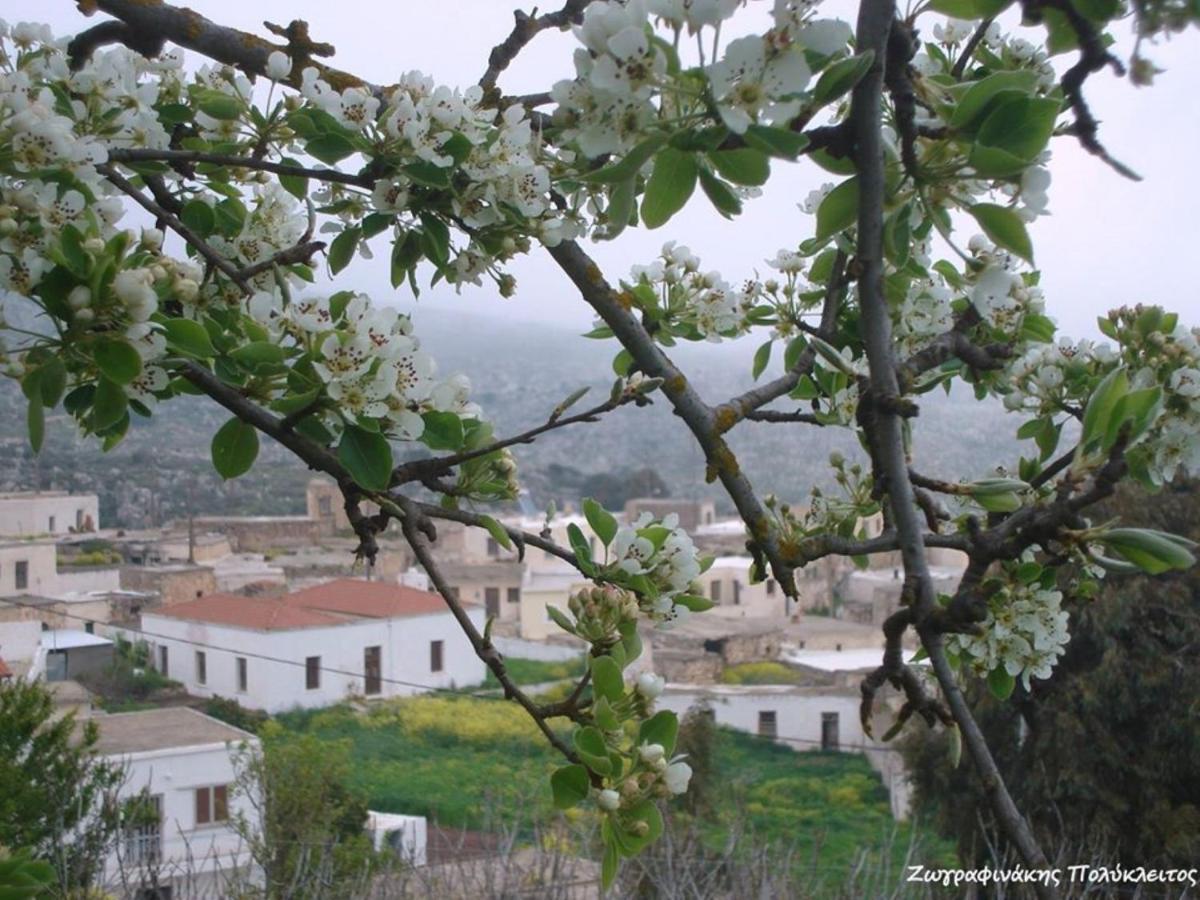 Traditional Cretan House Lithostrati Karidi Village Eksteriør bilde